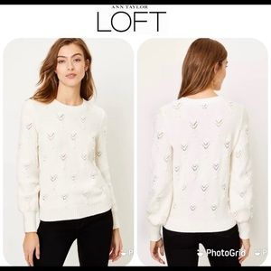 NWT LOFT Bobbie Pointelle Sweater Sz M $79.50!